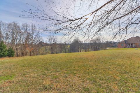 3107 Burts Xing, Springfield, TN 37172 photo 31