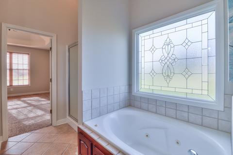 3107 Burts Xing, Springfield, TN 37172 photo 19