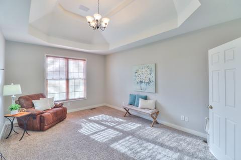 3107 Burts Xing, Springfield, TN 37172 photo 15