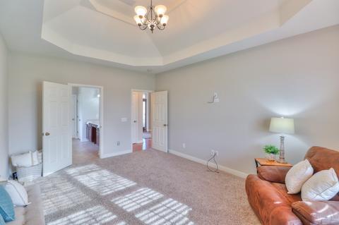 3107 Burts Xing, Springfield, TN 37172 photo 16