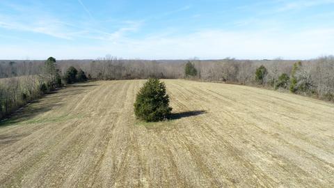1100 Oak Grove Rd, Goodspring, TN 38460 photo 3