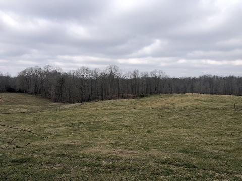 1534 E Piney Rd, Dickson, TN 37055 photo 1