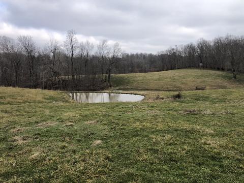 1534 E Piney Rd, Dickson, TN 37055 photo 8
