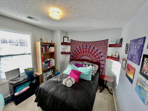124 Deerfield Dr, Springfield, TN 37172 photo 28