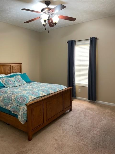 2129 Iris Ln, Rickman, TN 38580 photo 34