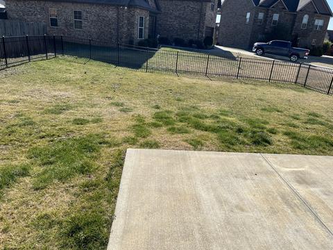 1820 Walking Dr, Murfreesboro, TN 37130 photo 17