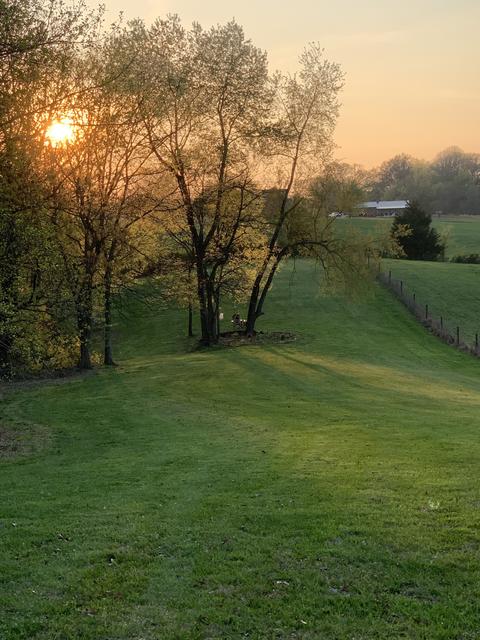 2999 Gunn Rd, Springfield, TN 37172 photo 7
