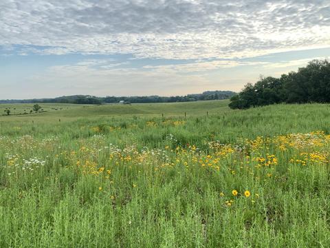 2999 Gunn Rd, Springfield, TN 37172 photo 6