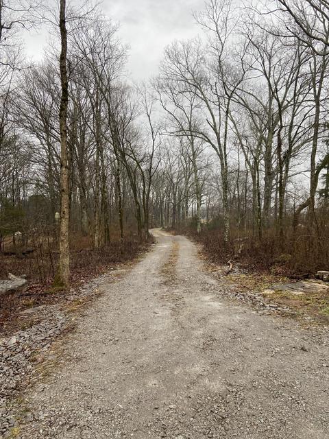 4510 E Compton Rd, Murfreesboro, TN 37130 photo 41
