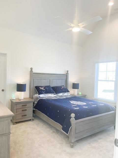 9012 Safe Haven Pl, Spring Hill, TN 37174 photo 14