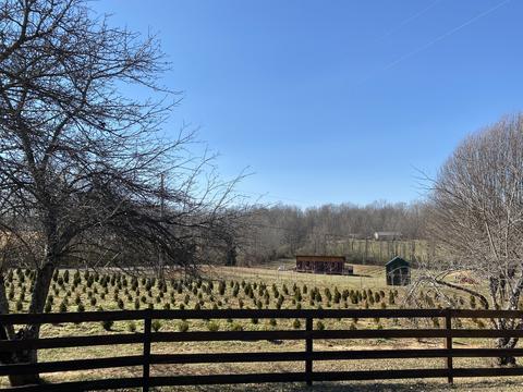 1063 Swan Mill Rd, Morrison, TN 37357 photo 35
