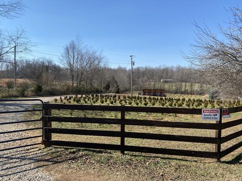 1063 Swan Mill Rd, Morrison, TN 37357 photo 34