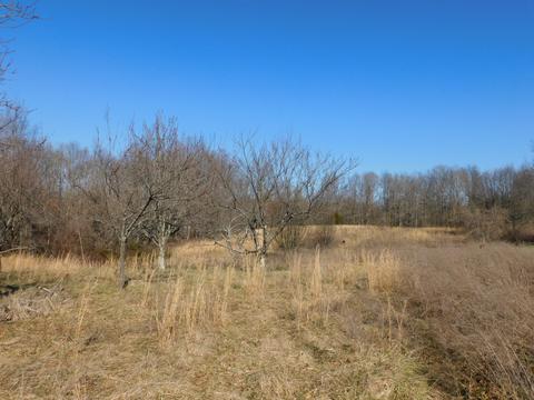 1102 Cabbage Patch Rd, Altamont, TN 37301 photo 15