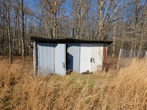 1102 Cabbage Patch Rd, Altamont, TN 37301 photo 10