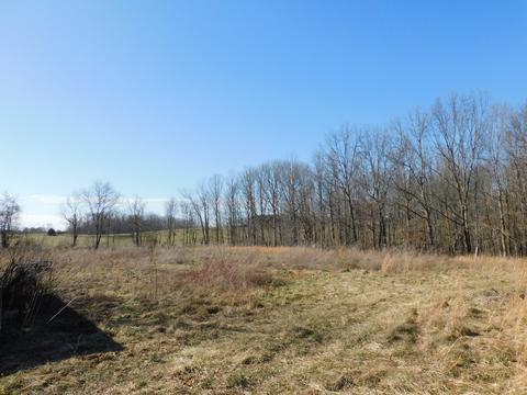 1102 Cabbage Patch Rd, Altamont, TN 37301 photo 16
