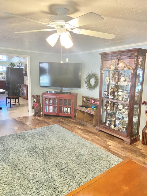36 Warren Hollow Rd, Five Points, TN 38457 photo 4