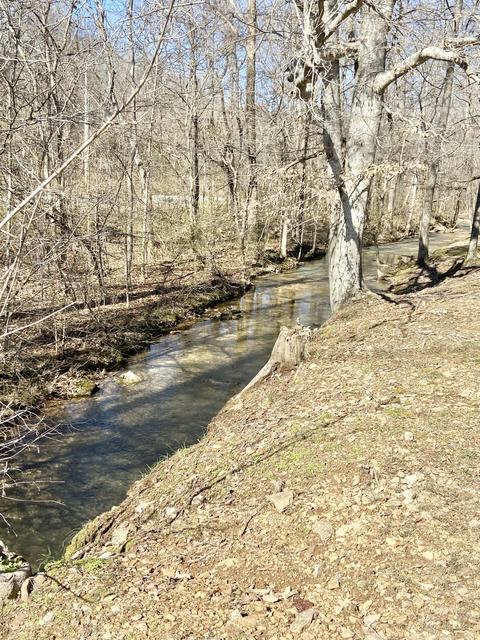 36 Warren Hollow Rd, Five Points, TN 38457 photo 17