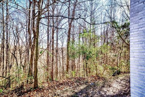 329 Sunny Point Rd, Baxter, TN 38544 photo 25