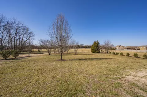 312 Amazonway Rdg, Murfreesboro, TN 37130 photo 39