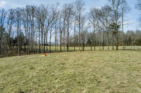 4250 Moss Rd, Baxter, TN 38544 photo 16