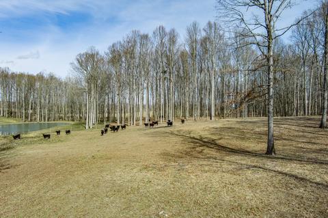 4250 Moss Rd, Baxter, TN 38544 photo 17