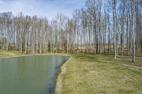 4250 Moss Rd, Baxter, TN 38544 photo 24