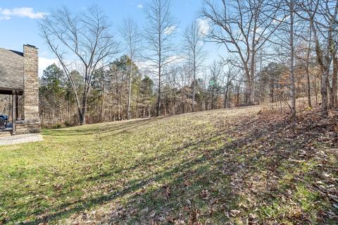 300 Batson Rd, Cunningham, TN 37052 photo 62