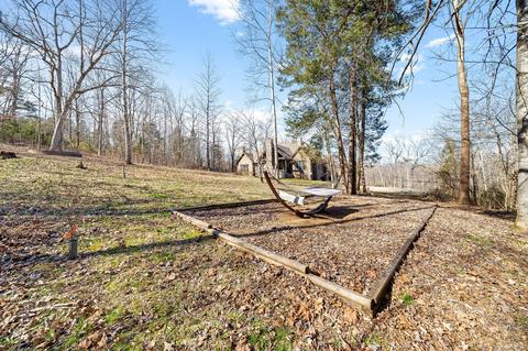 300 Batson Rd, Cunningham, TN 37052 photo 59