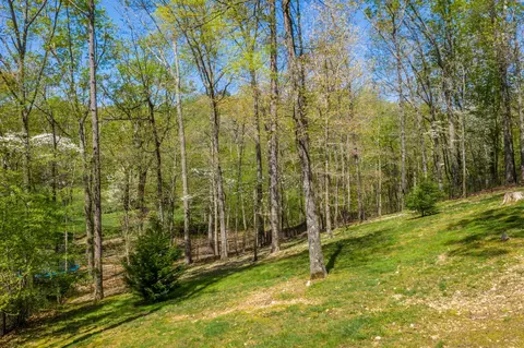 2947 Reflection Ln, Ooltewah, TN 37363 photo 42