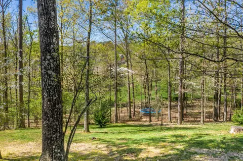2947 Reflection Ln, Ooltewah, TN 37363 photo 41