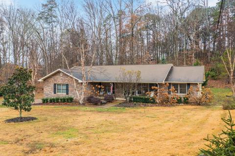 5007 Silver Ln, Apison, TN 37302 photo 34