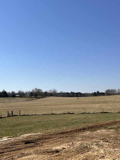 1364 Lecomte Rd, Dickson, TN 37055 photo 4