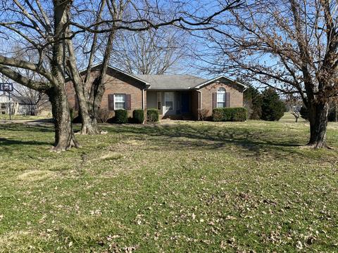 37 Deer Run Dr, Loretto, TN 38469 photo 2