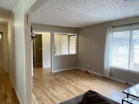 161 Mountain View Dr, Morrison, TN 37357 photo 5