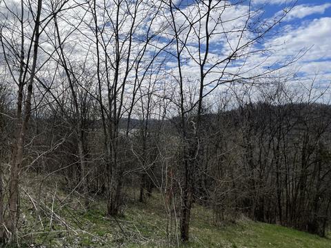46 Harbor Ct, Silver Point, TN 38582 photo 12