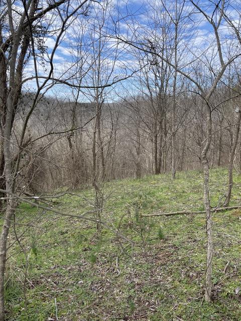 46 Harbor Ct, Silver Point, TN 38582 photo 7