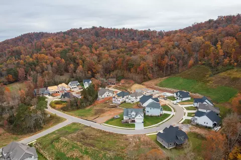 4189 Barnsley Loop, Ooltewah, TN 37363 photo 62