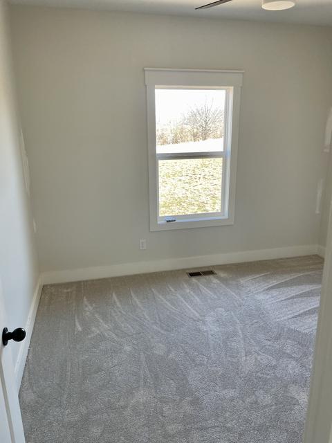 135 Claypool Rd, Bethpage, TN 37022 photo 14