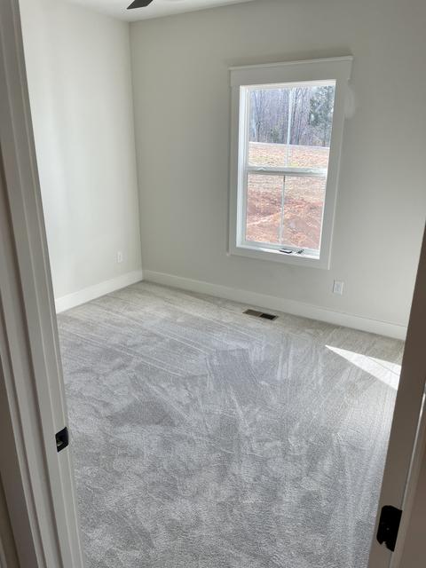 135 Claypool Rd, Bethpage, TN 37022 photo 13