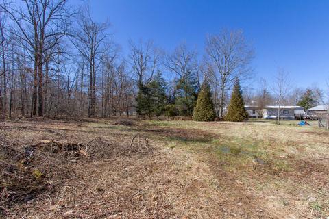 105 Apache Trl, Beechgrove, TN 37018 photo 54