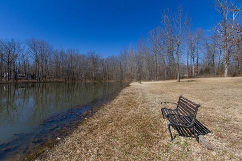 105 Apache Trl, Beechgrove, TN 37018 photo 59