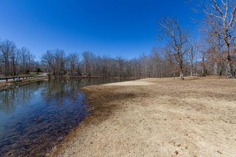 105 Apache Trl, Beechgrove, TN 37018 photo 58