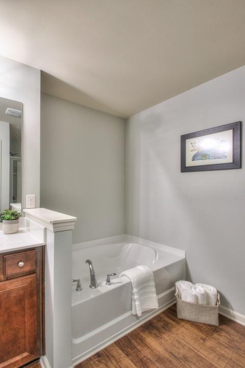 924 Brigade Loop, Murfreesboro, TN 37128 photo 24
