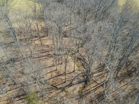 6250 Brown Ridge Rd, Baxter, TN 38544 photo 15