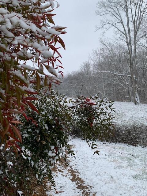 6250 Brown Ridge Rd, Baxter, TN 38544 photo 70