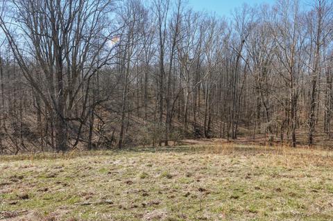 6250 Brown Ridge Rd, Baxter, TN 38544 photo 65