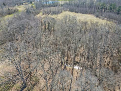 6250 Brown Ridge Rd, Baxter, TN 38544 photo 9