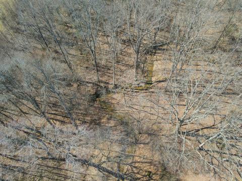 6250 Brown Ridge Rd, Baxter, TN 38544 photo 7