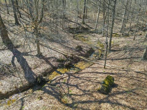 6250 Brown Ridge Rd, Baxter, TN 38544 photo 20