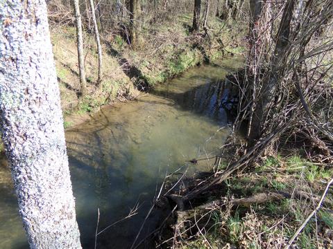 1801 Case Rd, Prospect, TN 38477 photo 5
